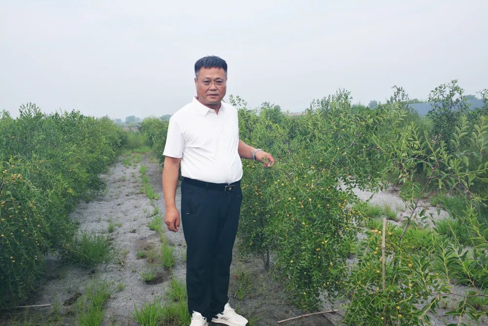 深耕药食同源赋能乡土振兴 吕吉山策划红色公益 助力晋商酸枣产业出圈(图7)