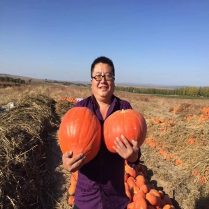 <strong>乡村振兴领头羊------马吉山</strong>