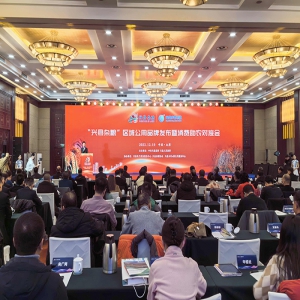 推动杂粮产业与电子商务深度融合