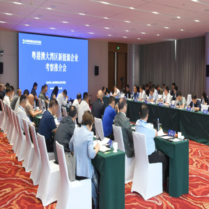 <strong>携手共筑新能源未来：粤港澳大湾区与山西的</strong>