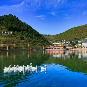 平顺县龙溪镇龙镇村： “三做四变”打造太行山上的“小余村”